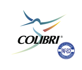 logo-Colibri-VallorSolucoes
