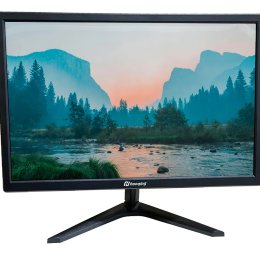 Monitor Full HD 19′